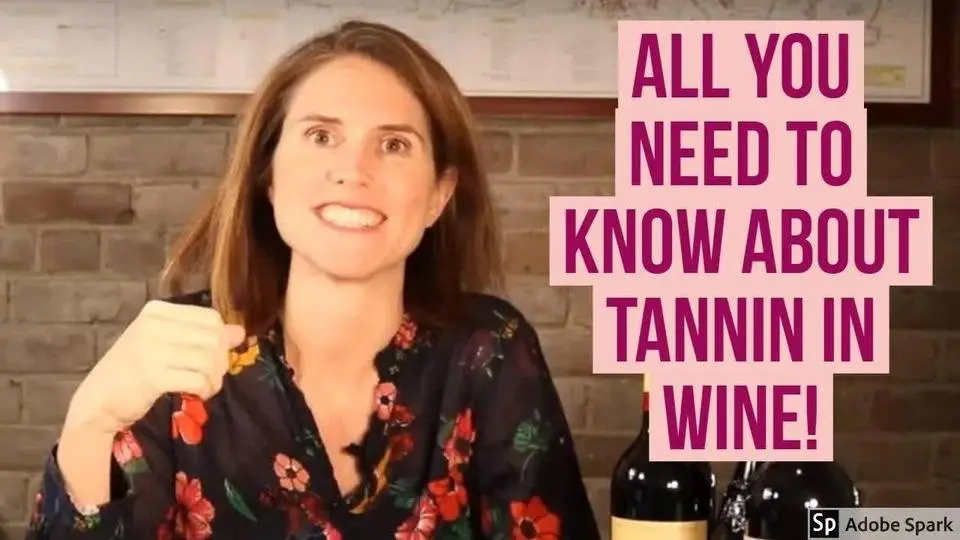 Mastering Wine: What are Tannins in Wine?
