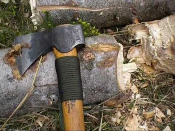 The Axe is back Project - My Entry with my GB Wildlife hatchet