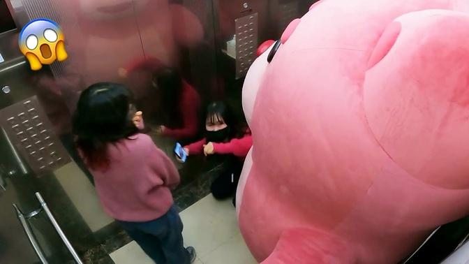 Trapped in Elevator with Giant pink bear Prank elevator