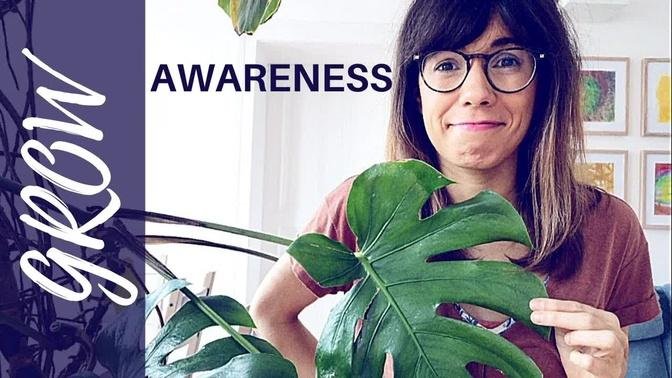 GROW awareness | growing awareness with plants