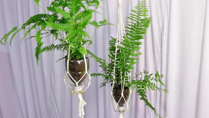 How to have a great hanging garden
