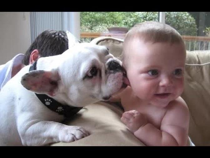 Funny Babies and Animals Video THE BEST Adorable Baby and Animals Compilation