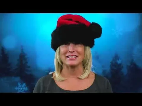 Merry Christmas from Illinois House Republicans