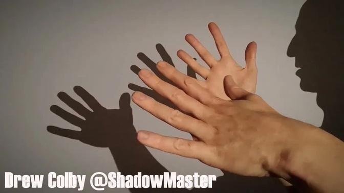 Octopus Hand Shadow Tutorial | Videos | Drew Colby-Hand Shadow Artist ...