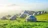 Nomadic life