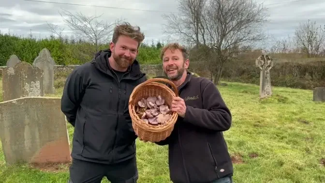 Foraging and cooking wood blewits with Chef Alex Goulding