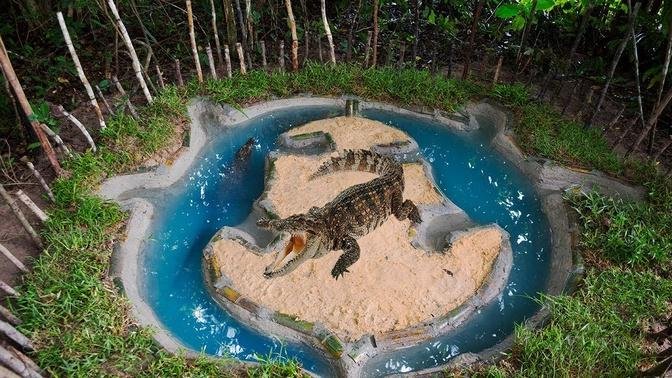 Building Crocodile Pool For Wild Crocodile