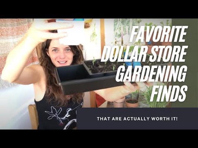 The Mountain Garden at Big Sur: Dollar Store Deals & More!