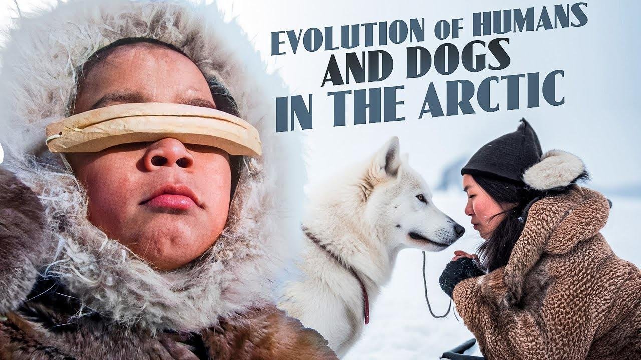The Incredible Story of Humans and Dogs Thriving in the North American Arctic