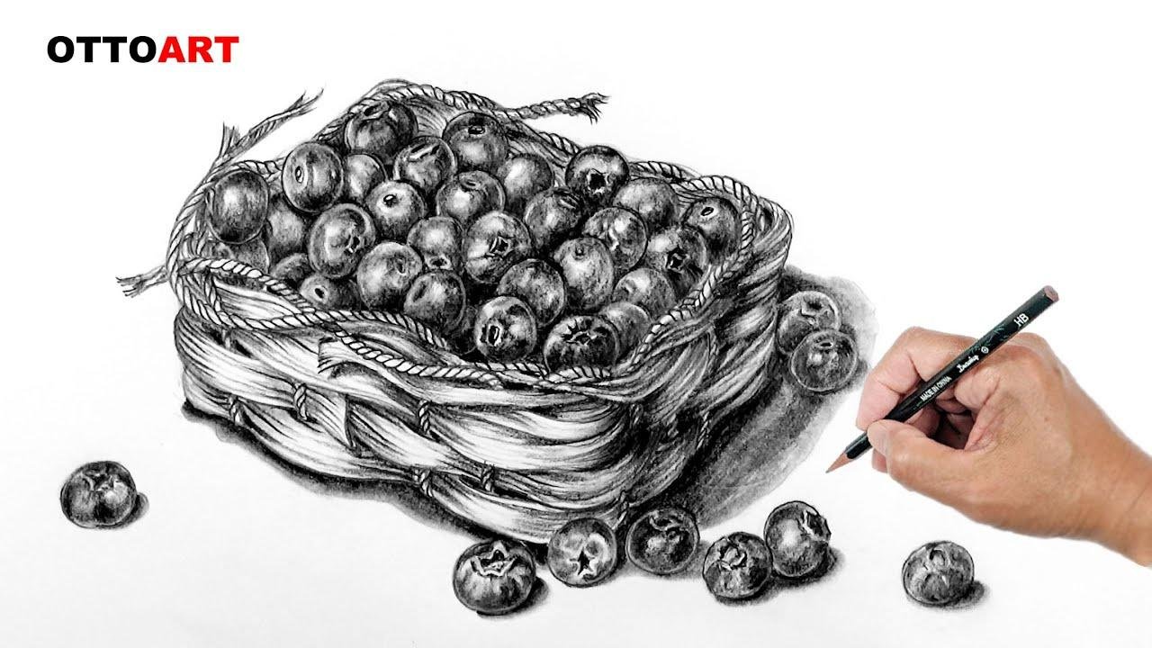 ✏️How to draw Blueberries / 如何画蓝莓
