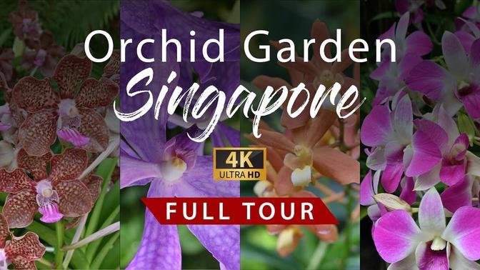 National Orchid Garden Singapore | Full Tour | 4K