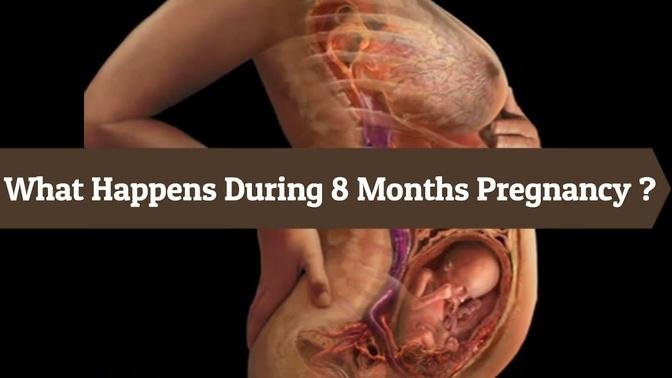 8 Months Pregnancy and Baby’s development in 8 month pregnancy Month by Month