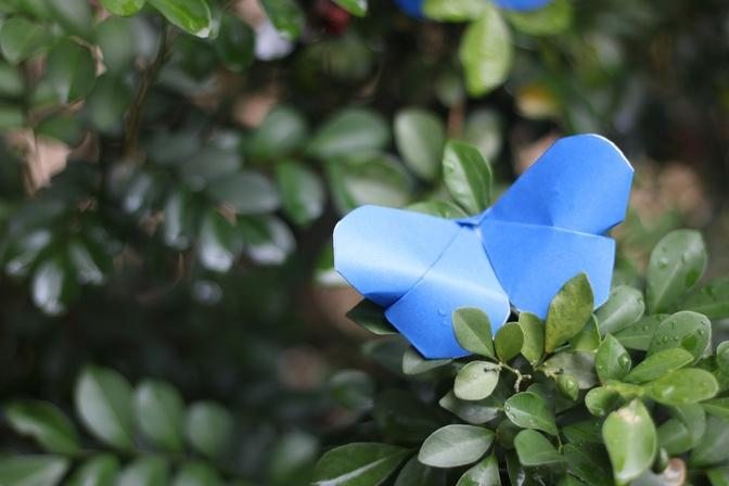 Paper Folding Art (Origami): How to Make Butterflies
