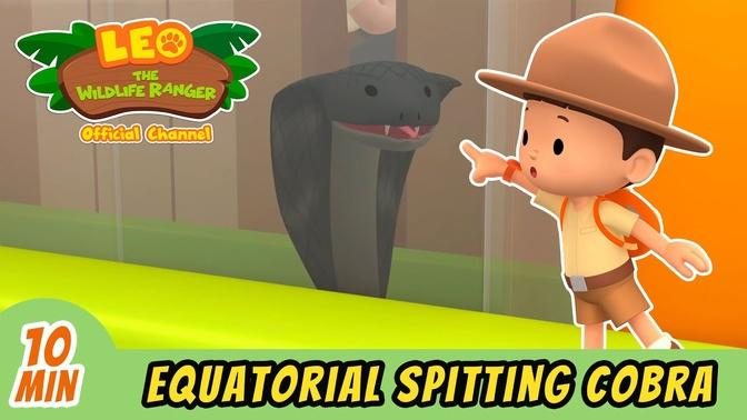 The Equatorial Spitting Cobra - Full Episode - Leo the Wildlife Ranger - Kid