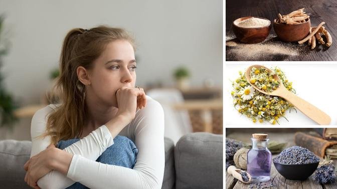 Natural Herbs for Anxiety: A Guide to Finding Relief Without Medication