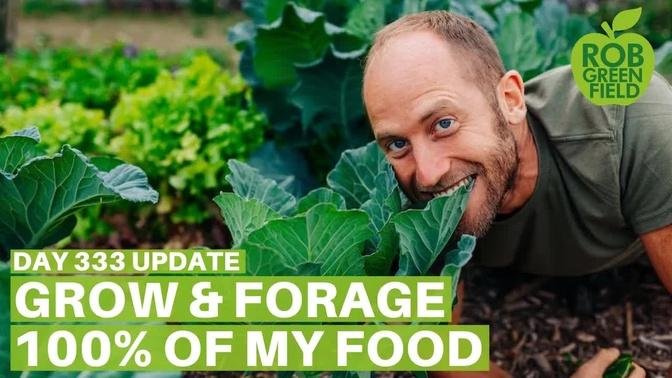 Growing and Foraging 100% of My Food - Day 333 Update