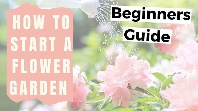 how-to-start-a-flower-garden-for-beginners-home-gardening-for