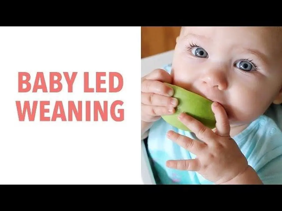 How to do Baby Led Weaning - BLW - and Why You'd Want To