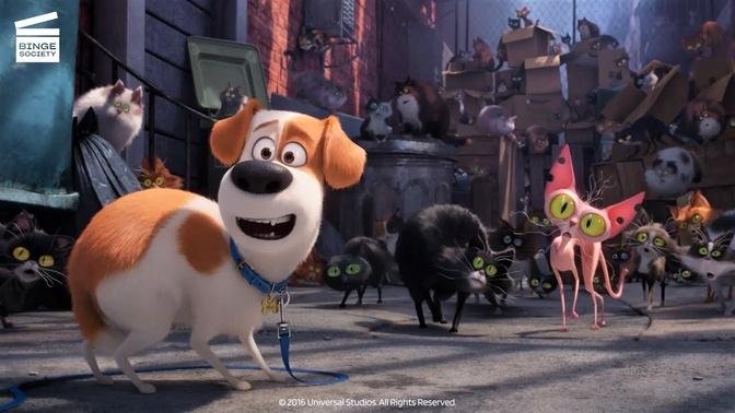 The Secret Life of Pets (3/9) | The cats and Animal Control | Cartoon for kids