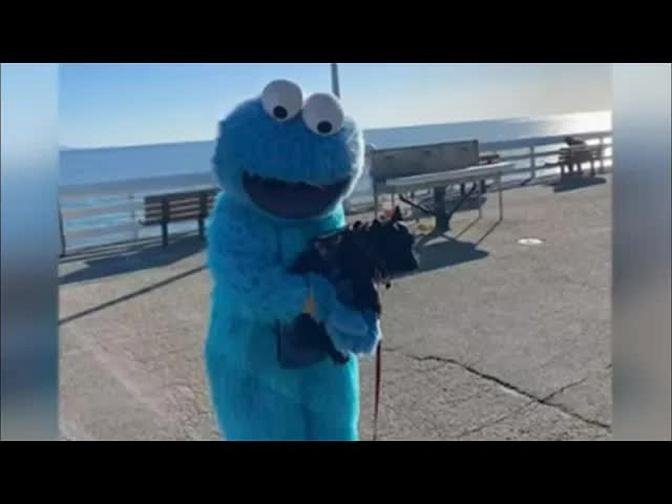 Police: If you see a person dressed up as the Cookie Monster, ignore him