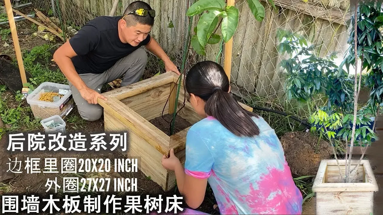 DIY 木制花盆， 自己动手制作，美观便宜的果树盆，防水木头
