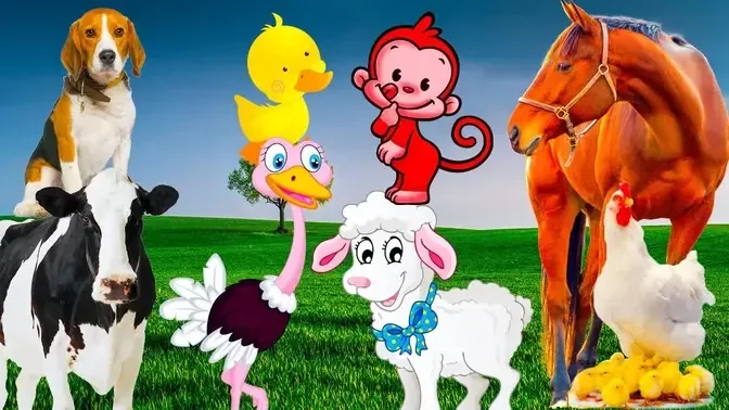 Learn about adorable animals： cow, cat, dog, duck, horse - animal sounds