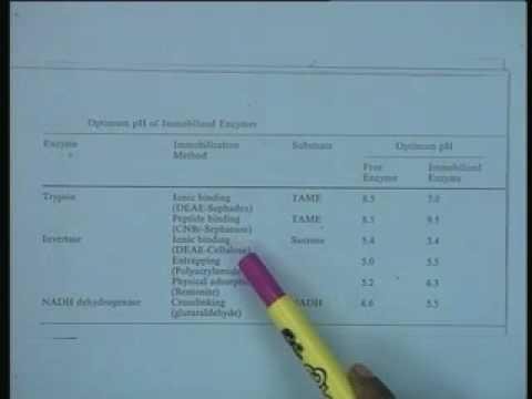 Lecture - 18 Effect of Immobilization
