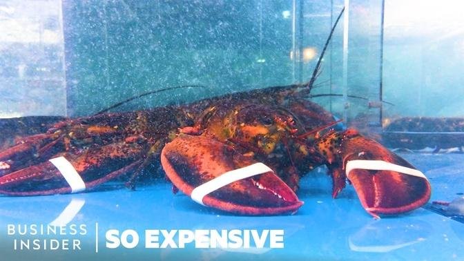Why Lobster Is So Expensive _ So Expensive