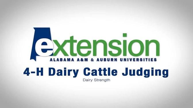 4-H Dairy Cattle Judging: Dairy Strength