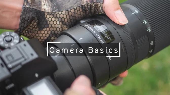 Pro Wildlife Photography Camera Basics