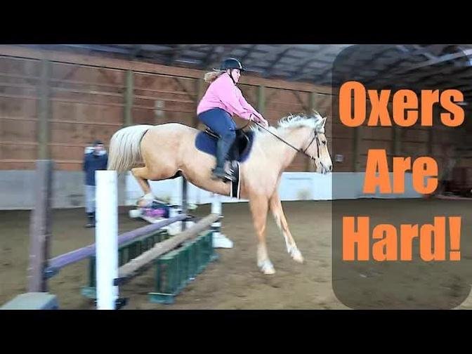 Oxer Disaster!