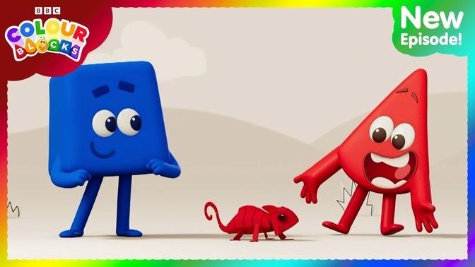 Changing colours with chameleons! _ Kids learn colours! _ Series 1, Ep 8 _ @Colourblocks