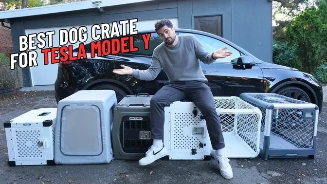 The Best Dog Crates Tesla Model Y - Tried & Tested