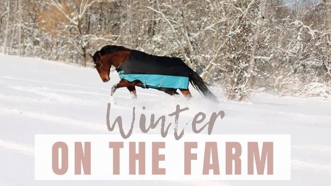 Winter is Here at the Farm | VLOG
