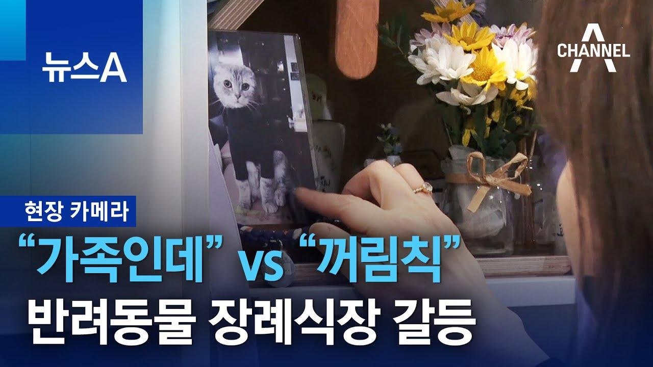 [현장 카메라]“가족인데” vs “꺼림칙”…반려동물 장례식장 갈등 | 뉴스A