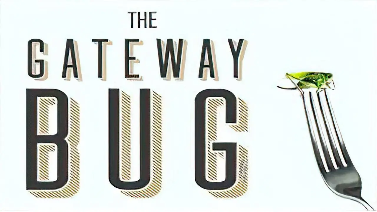 The Gateway Bug