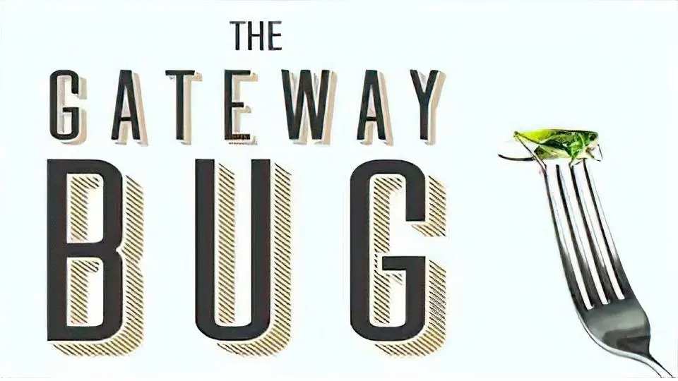 The Gateway Bug
