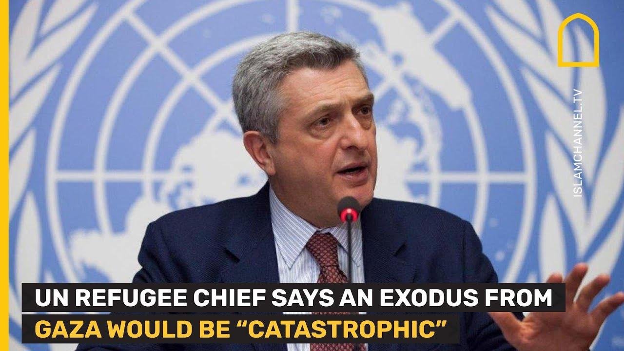 UN refugee chief: an exodus from Gaza would be "catastrophic"