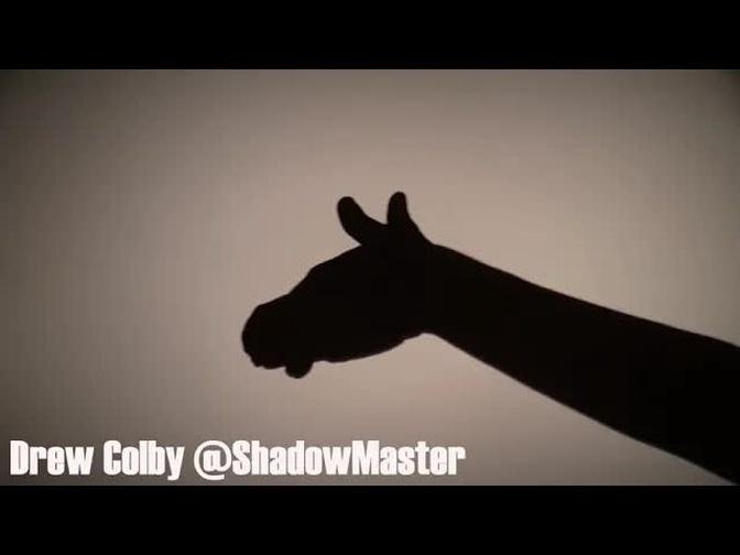 Horse Hand Shadow Tutorial