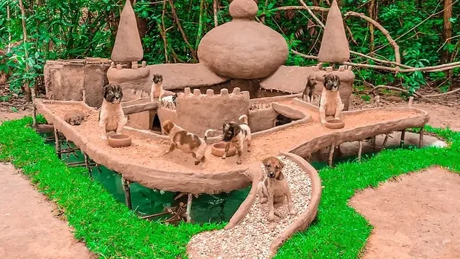 Abandoned And Starving Puppies Rescue Building Mud House And Underground Fish Pond