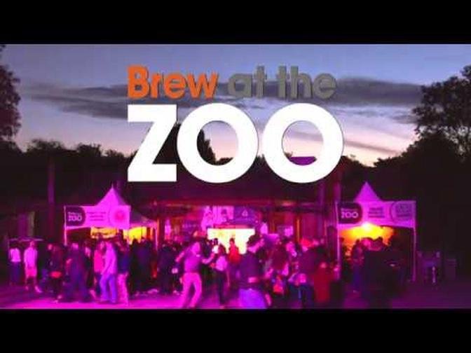 Brew At The Zoo 2019