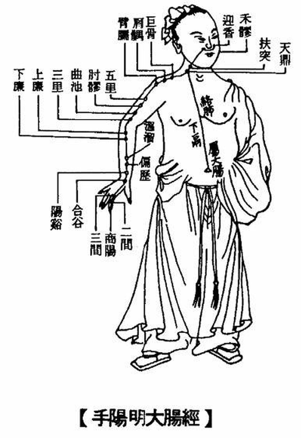 大腸經.jpg