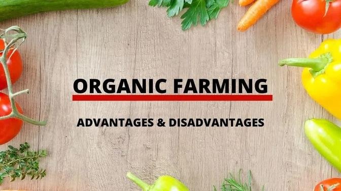 ORGANIC FARMING IN AGRICULTURE - ADVANTAGES AND DISADVANTAGES