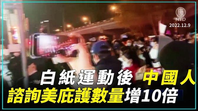 白紙運動後 中國人諮詢美庇護數量增10倍 ｜#新唐人新聞