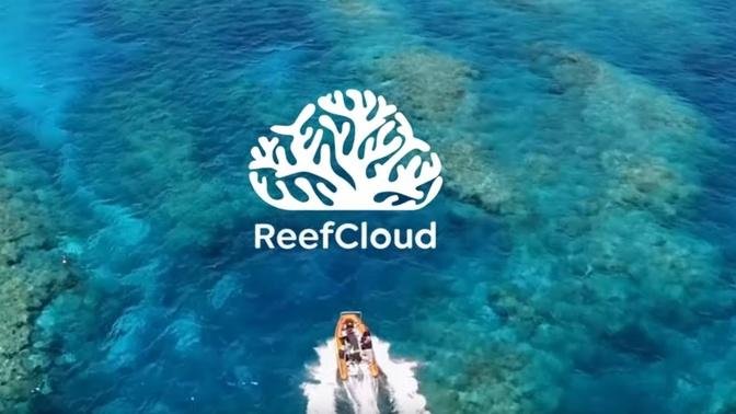 ReefCloud - bringing the world's coral reef community together