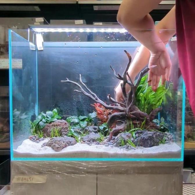 60cm instant aquarium set 15 Helping customer to create this design in 3 working days and delivered