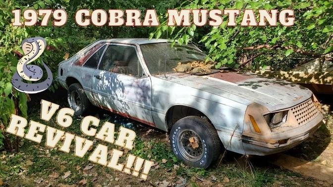 1979 Cobra Mustang First Start In Years!!!!!!