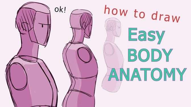How to Draw the Body Using simple shapes and studying photo reference