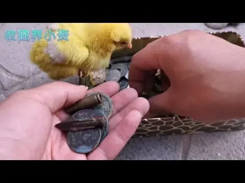 妹夫的铜钱和铜件，有探的有买的工艺品，一起辨真伪！