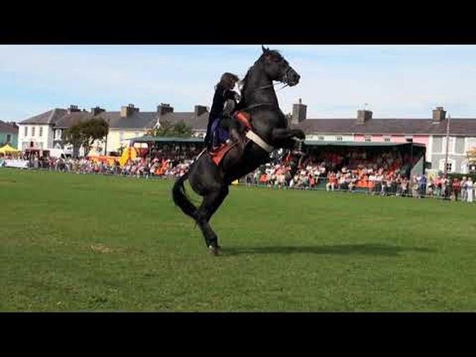Hunt and Stunts - jumping, Amazing Horse Freestyle